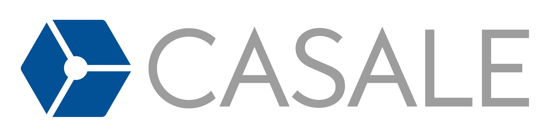 SAF for bluebiz 2025 - Casale