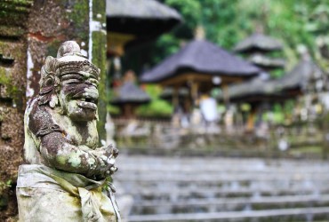 KLM announces 2024 summer schedule