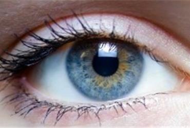 New revolutionary technology may offer business travellers a way to travel the world easily, solely based on secure biometric authentication. The new technology could eliminate the need for multiple security checks at airports.